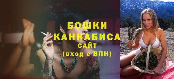 шишки Белокуриха