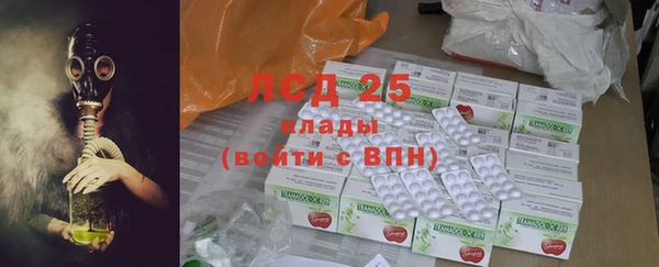 шишки Белокуриха