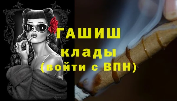 шишки Белокуриха