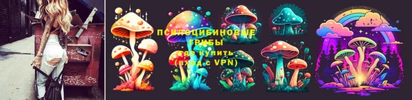 spice Беломорск
