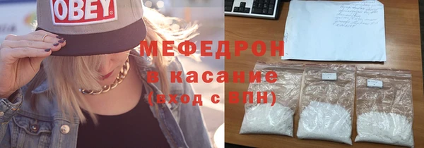 шишки Белокуриха
