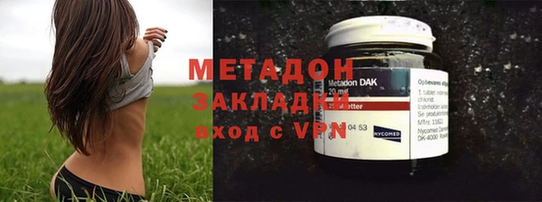 шишки Белокуриха