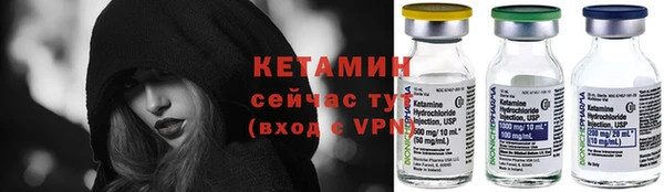 шишки Белокуриха