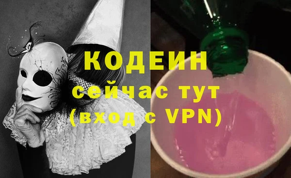 шишки Белокуриха