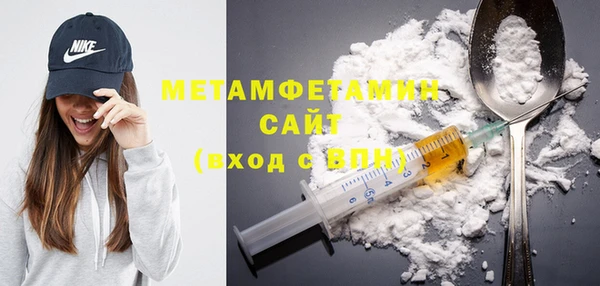 шишки Белокуриха