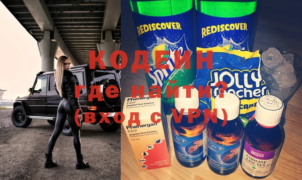шишки Белокуриха