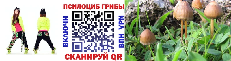 гидра   Бор  Галлюциногенные грибы ЛСД 