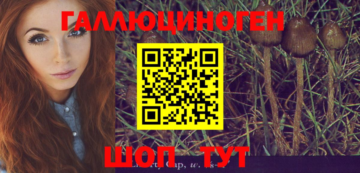 Галлюциногенные грибы прущие грибы  Вход с VPN  хочу   Бор 