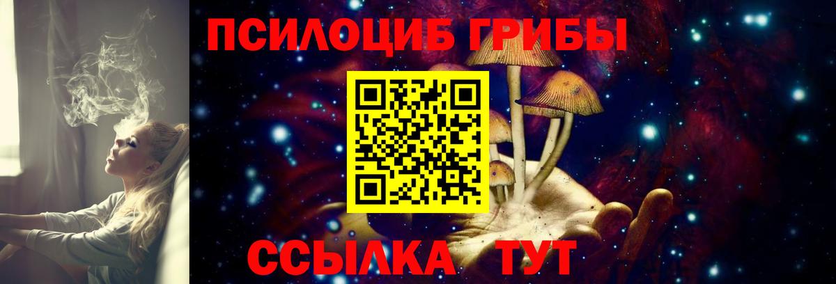 Псилоцибиновые грибы мицелий Бор